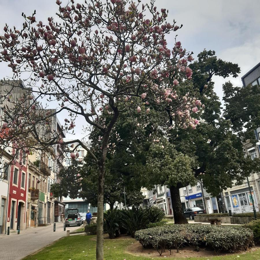 OTF- Porto Centro Lejlighed Eksteriør billede